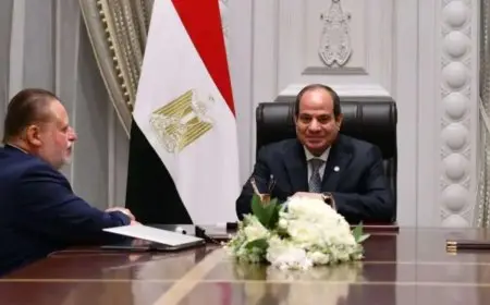 تعرف على أبرز تكليفات الرئيس السيسي لمحافظ المركزي