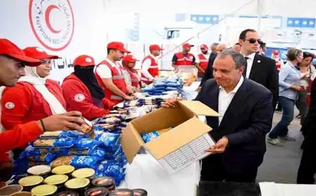 “رسالة حب وتضامن”.. وزير الخارجية يكتب على أحد صناديق المساعدات المصرية لغزة (صور)