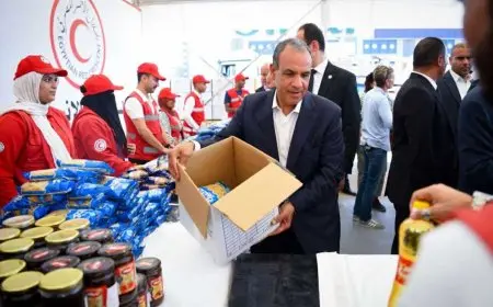 وزير الخارجية: مصر أدخلت أكثر من 70% من إجمالي المساعدات الإنسانية المقدمة لقطاع غزة