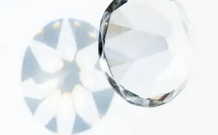 حاولوا تهريبها بثلاجة.. شرطة دبي تحبط سرقة الماسة الوردية