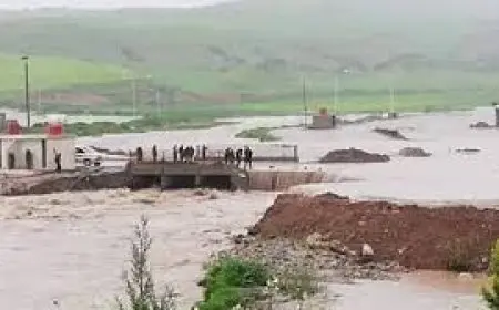 دراسة ألمانية: تدابير التكيّف قلّصت أضرار الفيضانات في أوروبا منذ 1950 بنسبة تفوق 60%