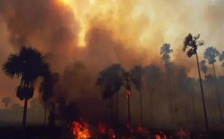 إسبانيا تسجل أسوأ حرائق غابات منذ 1994 تلتهم آلاف الكيلومترات وتتسبب في سقوط قتلى