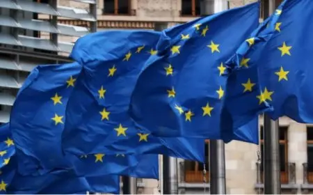 قادة الاتحاد الأوروبي يعقدون مؤتمرا عبر الفيديو بعد اجتماع واشنطن