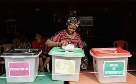 نيجيريا: المعارضة تخسر الانتخابات الجزئية أمام الحزب الحاكم