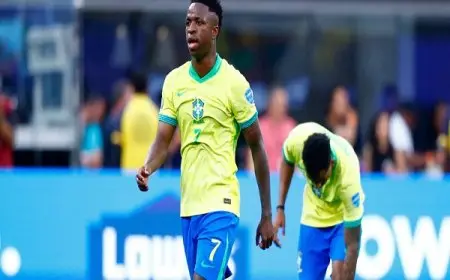 أنشيلوتي يستبعد فينيسيوس من قائمة البرازيل لمعسكر سبتمبر