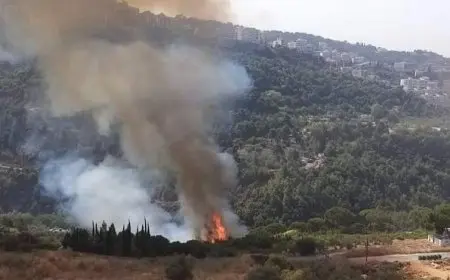 إصابة 4 سوريين جراء إلقاء مسيرة إسرائيلية قنبلة في جنوبي لبنان