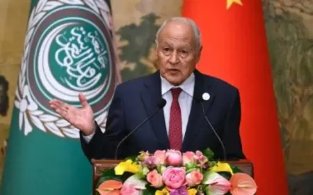 أبو الغيط يطلق نداء إنسانيا لإنقاذ غزة وحماية المدنيين العزل