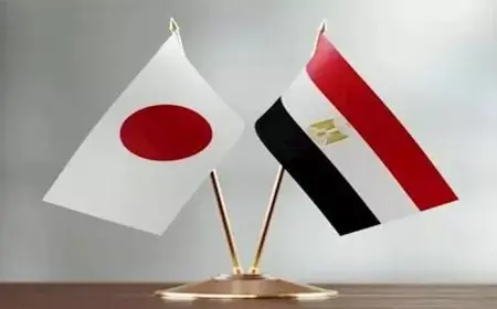 الإحصاء: 12.6% ارتفاعاً في التبادل التجاري بين مصر واليابان في أول 5 أشهر من 2025