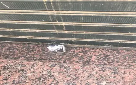 غلق المحلات 10 مساءً.. موعد تطبيق المواعيد الشتوية للمحال والمطاعم والمقاهي