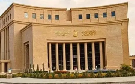 البنك المركزي يسحب سيولة بقيمة 263 مليار جنيه عبر عطاء السوق المفتوحة اليوم