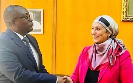 شبكة بريكس: مصر وزيمبابوي تسعيان لتعزيز التعاون في العديد من المجالات الاستراتيجية