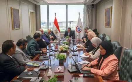 وزير الصحة يجتمع مع مجموعة BDR الهندية وشركة المستقبل للصناعات الدوائية لدعم توطين صناعة الدواء