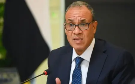 وزير الخارجية يجري اتصالات مكثفة مع قادة دوليين لبحث مقترحات وقف إطلاق النار في غزة