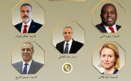 وزير الخارجية عن مفاوضات وقف إطلاق النار بغزة: الكرة أصبحت في ملعب إسرائيل