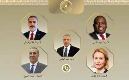 وزير الخارجية عن مفاوضات وقف إطلاق النار بقطاع غزة: الكرة أصبحت في ملعب إسرائيل