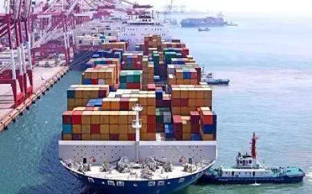 الرقابة على الصادرات: 310 معامل معتمدة لضمان جودة الصادرات المصرية