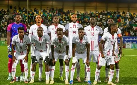 السودان والسنغال يصعدان لدور الثمانية في أمم أفريقيا للمحليين