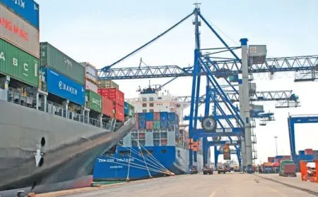 الرقابة على الصادرات: 24.5 مليار دولار قيمة صادرات مصر في النصف الأول من 2025