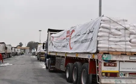 الهلال الأحمر: نحرك مئات الشاحنات يوميا صوب غزة.. والمواد الغذائية في صدارة الأولويات