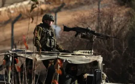 على غرار الضفة.. جيش إسرائيل يسرق 200 رأس غنم من بلدة سورية