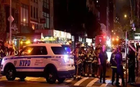 بطلقات نارية وعنف.. مقتل “ملكة نيويورك” عن عمر يناهز 33 عاما