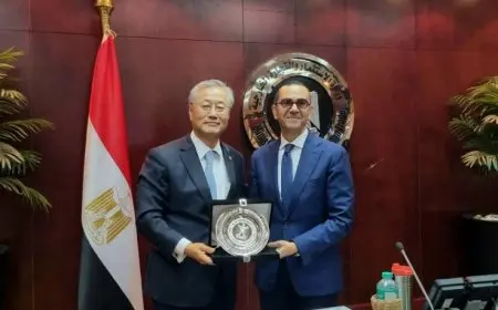 مصر وكوريا الجنوبية تبحثان سبل تعزيز التعاون في الاستثمار والتجارة