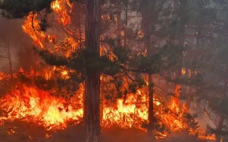 إسبانيا تكافح حرائق غابات مدمرة رغم تراجع الحرارة في شبه الجزيرة الإيبيرية