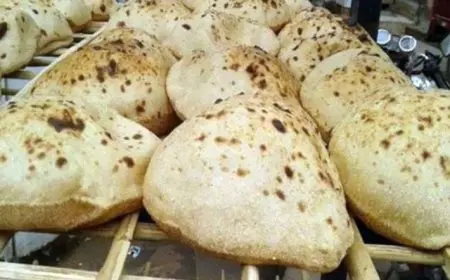 من القاهرة إلى نيويورك.. الخبز البلدي المصري خيار صحي يصل للعالمية
