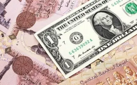 20 أغسطس 2025.. الدولار يواصل الارتفاع أمام الجنيه لليوم الثالث