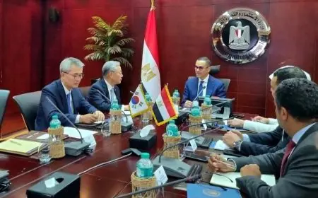 وزير الاستثمار يبحث إمكانية زيادة الاستثمارات الكورية في السوق المصري