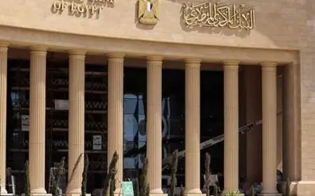 ارتفاع صافي الأصول الأجنبية للبنك المركزي المصري لـ10.5 مليار دولار بنهاية يوليو