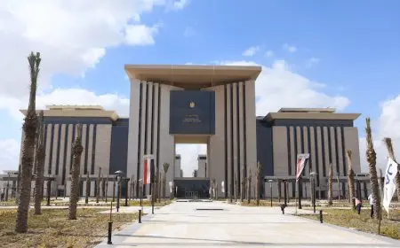 مصر ترحب بالجهود الدولية لإحلال السلام في أوكرانيا