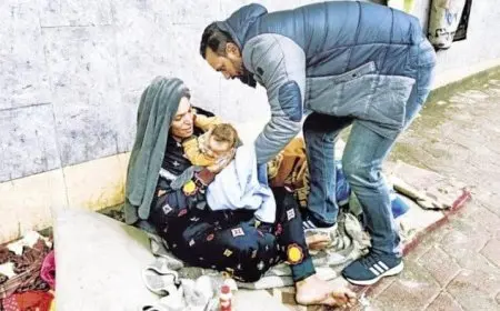 التضامن: التدخل السريع يتعامل مع حالات مسنين بلا مأوى في محافظات القاهرة والجيزة والغربية والدقهلية