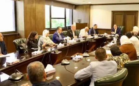 التنظيم والإدارة: إطلاق النسخة المطورة من بوابة الوظائف الحكومية.. وتطبيق هيكل جديد للجهاز بنظام الشباك الواحد