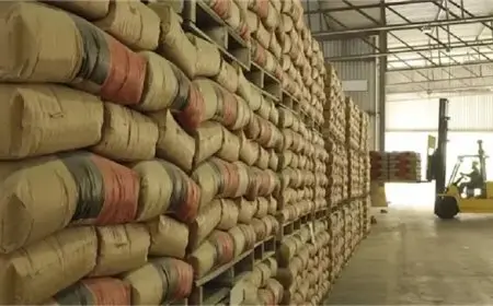 الحكومة تدرس السماح لمصانع الأسمنت باستخدام وقود بديل لتقليل استيراد الفحم.. فهل تنخفض الأسعار؟