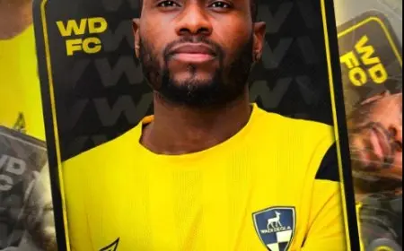 وادي دجلة يعلن التعاقد مع الإيفواري فرانك بولي