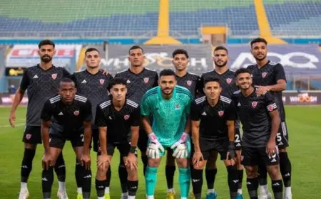 تشكيل بتروجت لمباراة وادي دجلة في الدوري