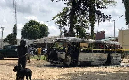 مسئول نيجيري: ارتفاع قتلى إطلاق نار بمسجد شمال غربي البلاد إلى 50 شخصا