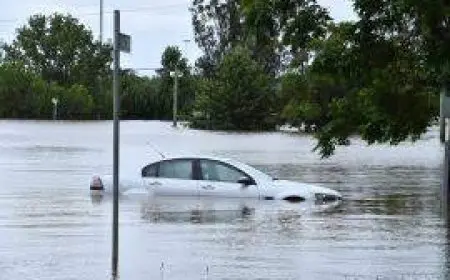 العثور على جثتين بعد سقوط سيارة في نهر بالقرب من سيدني وسط أمطار قياسية