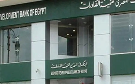 تابعتان لبنك تنمية الصادرات تتخارجان بكامل حصتهما من شركتين