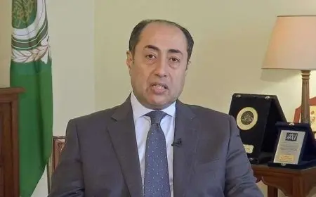 الجامعة العربية: ندعم قرار لبنان حصر السلاح بيد الدولة