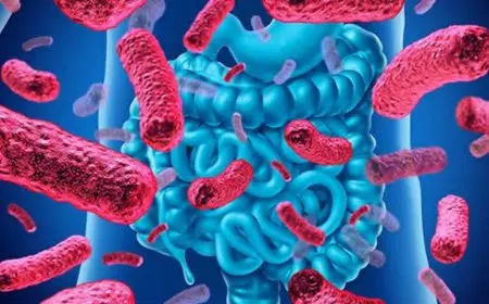 آخر أخبار الكآبة‫: ربط بين الاكتئاب وبكتيريا الأمعاء