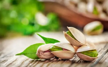 الفستق الحلبي.. تسلية لا تخلو من فائدة