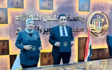 صندوق تطوير التعليم: خريطة عالمية لفرص العمل ومشروع لتأهيل الكفاءات المصرية