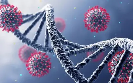 تسجيل إصابة جديدة بالحمى النزفية في كردستان العراق