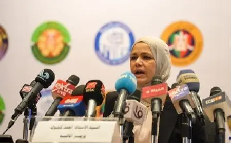 الضرائب : 290.3 مليار جنيه حصيلة إيرادات ضريبية أذون وسندات الخزانة خلال العام المالي الماضي