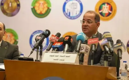 35% زيادة بالحصيلة.. وزير المالية يكشف نتائج الحزمة الأولى من التسهيلات الضريبية