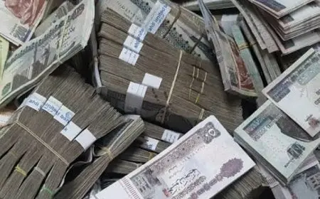 تفاصيل الشهادات مرتفعة العائد في البنوك بعد قرار المركزي