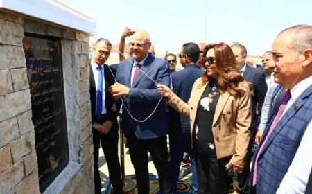 وزيرة التنمية المحلية ومحافظ القليوبية يفتتحان تطوير شارع نبوية موسى وكوبري مشاة المجمع الإسلامي