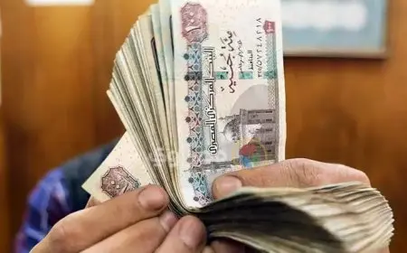 المركزي يتوافق مع التوقعات بخفض سعر الفائدة 2% على الإيداع والإقراض